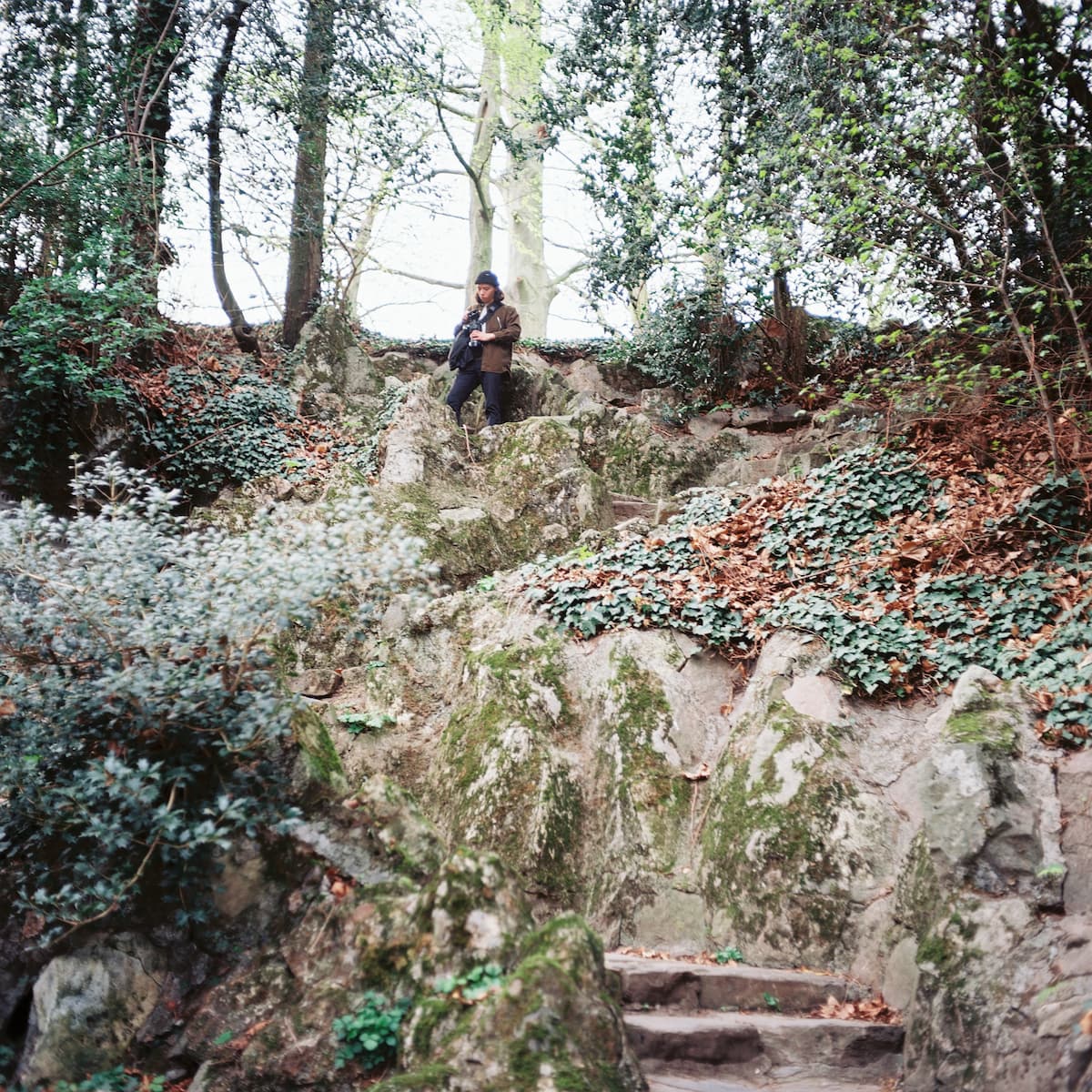 Miniature 4