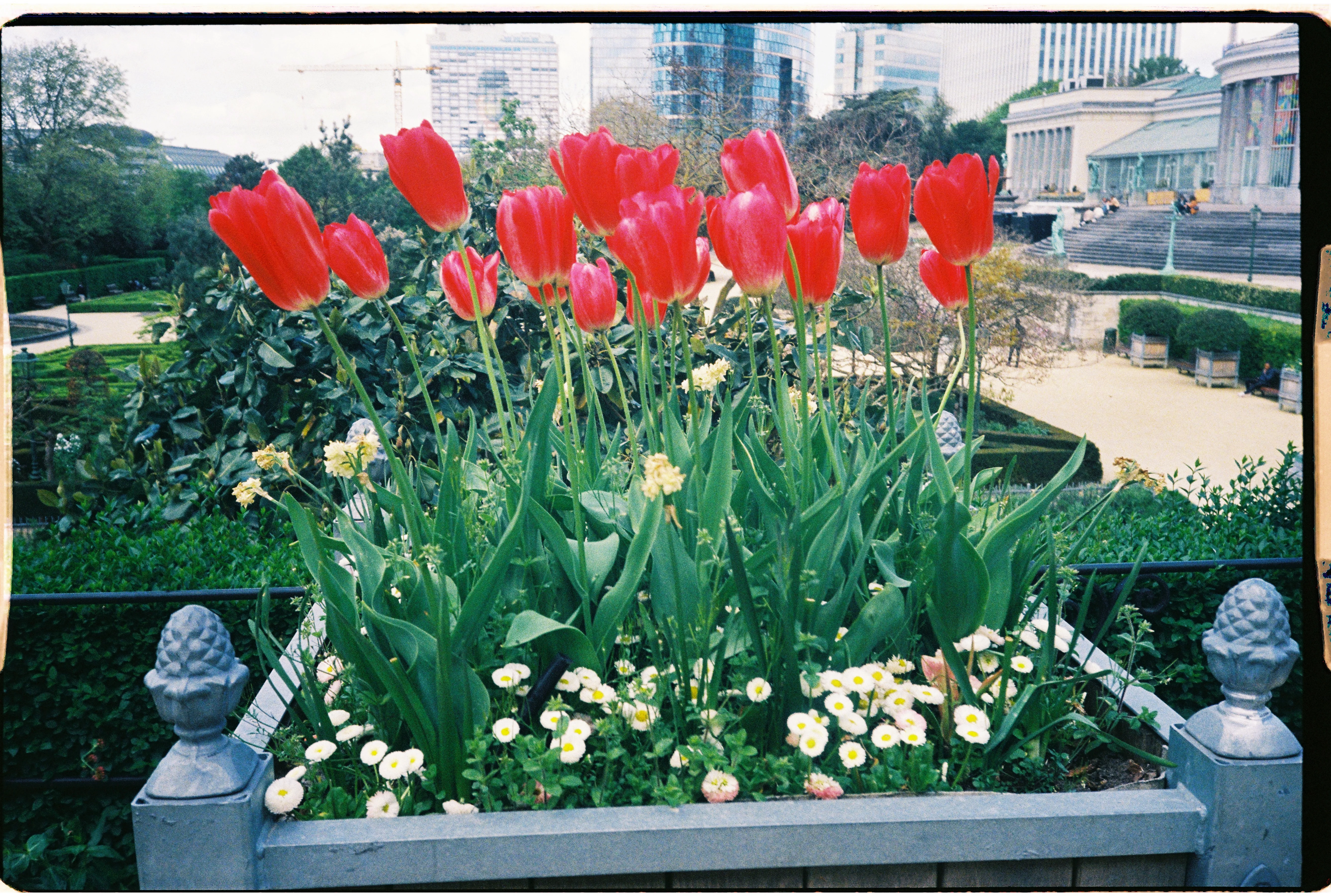 Miniature 3