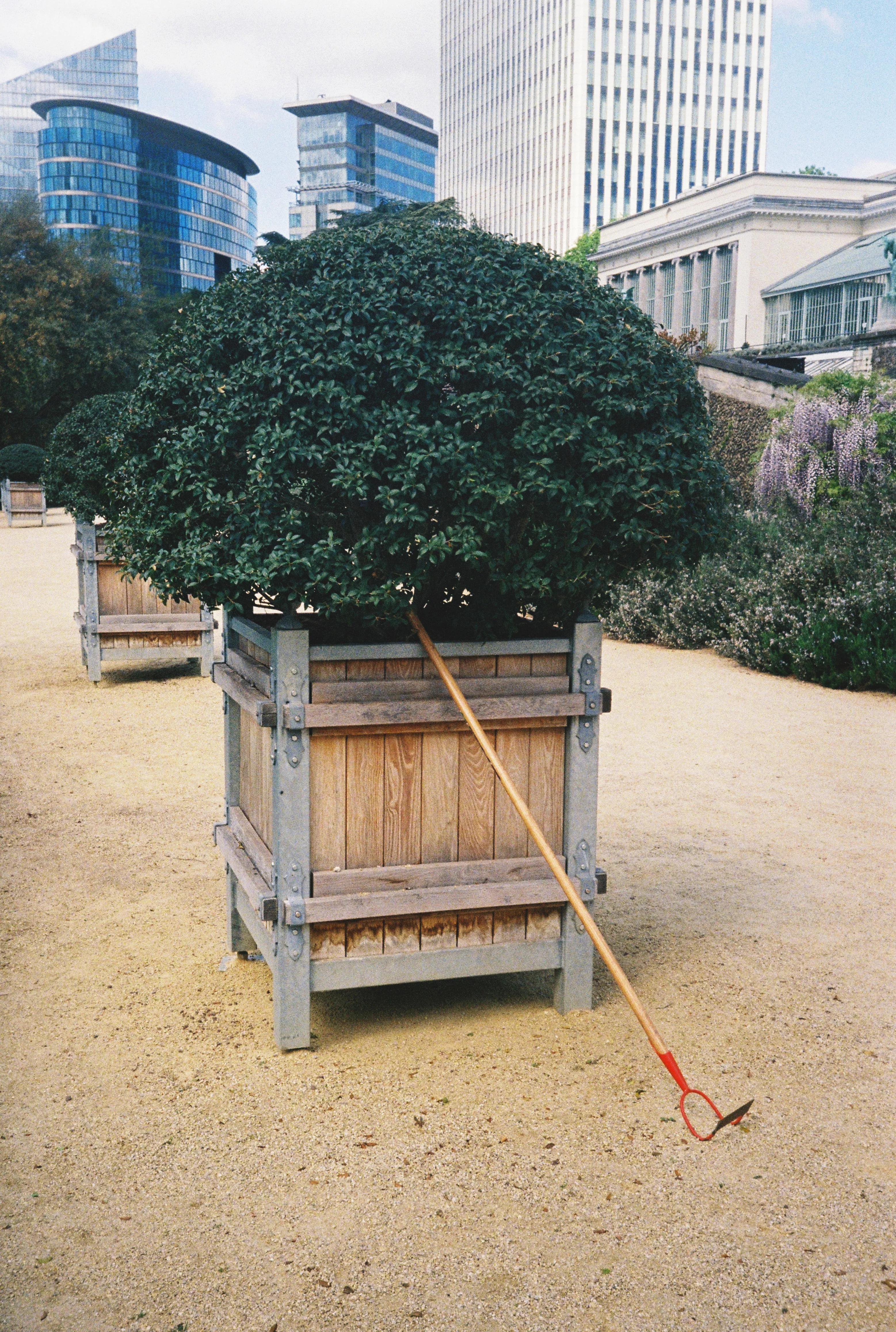 Miniature 4