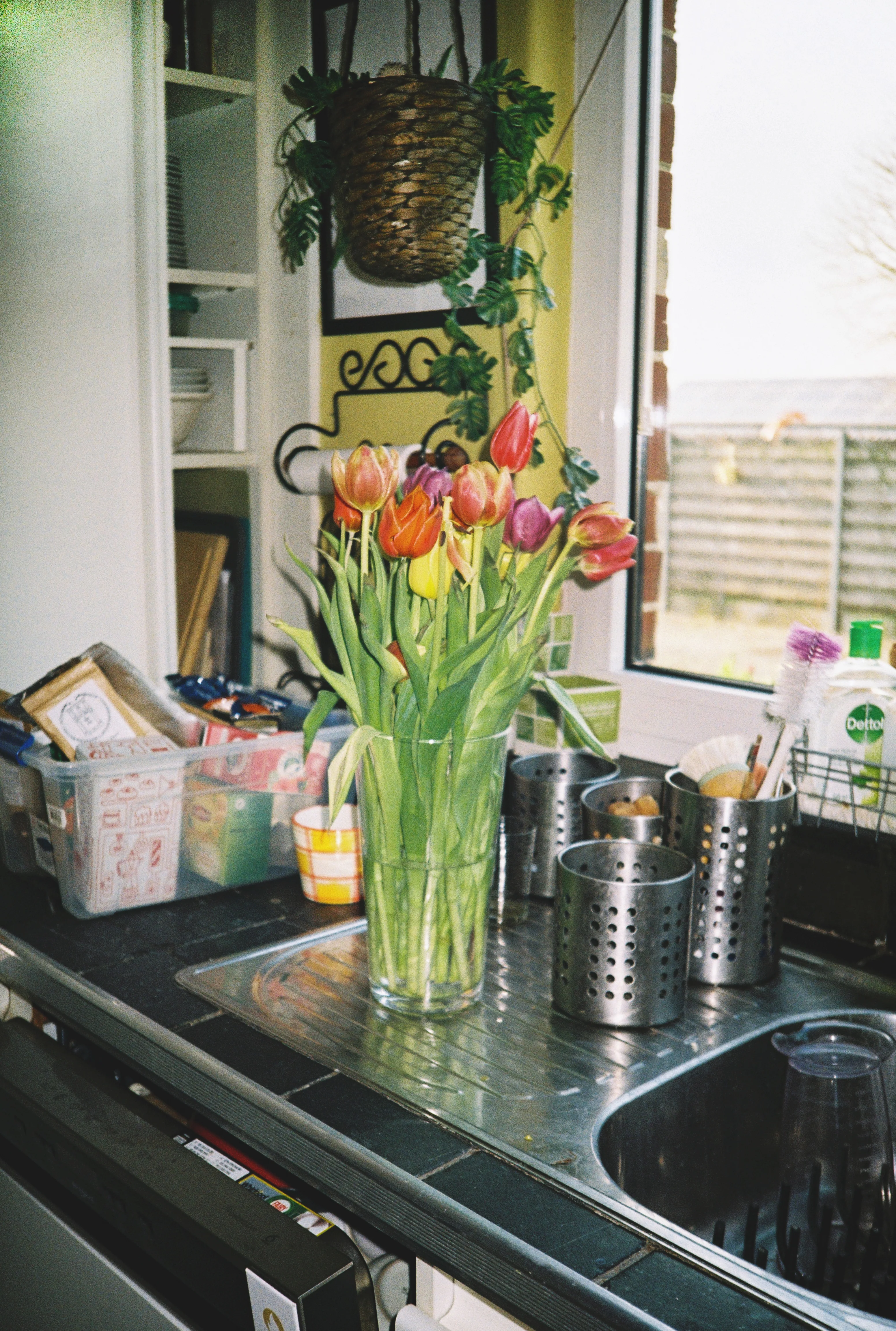 Miniature 5